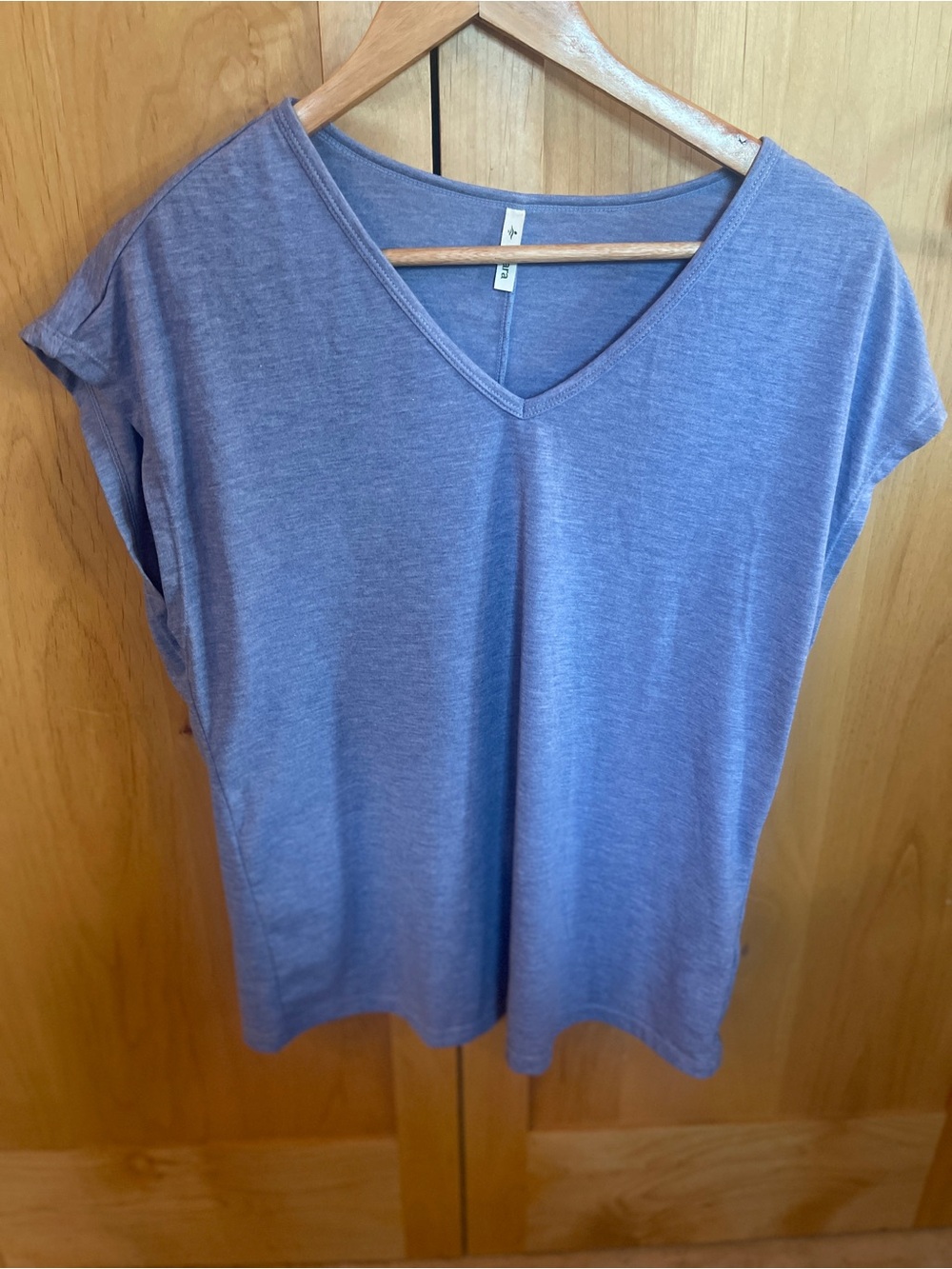 Halara Women's V-Neck Relaxed Tee in Heather Blue